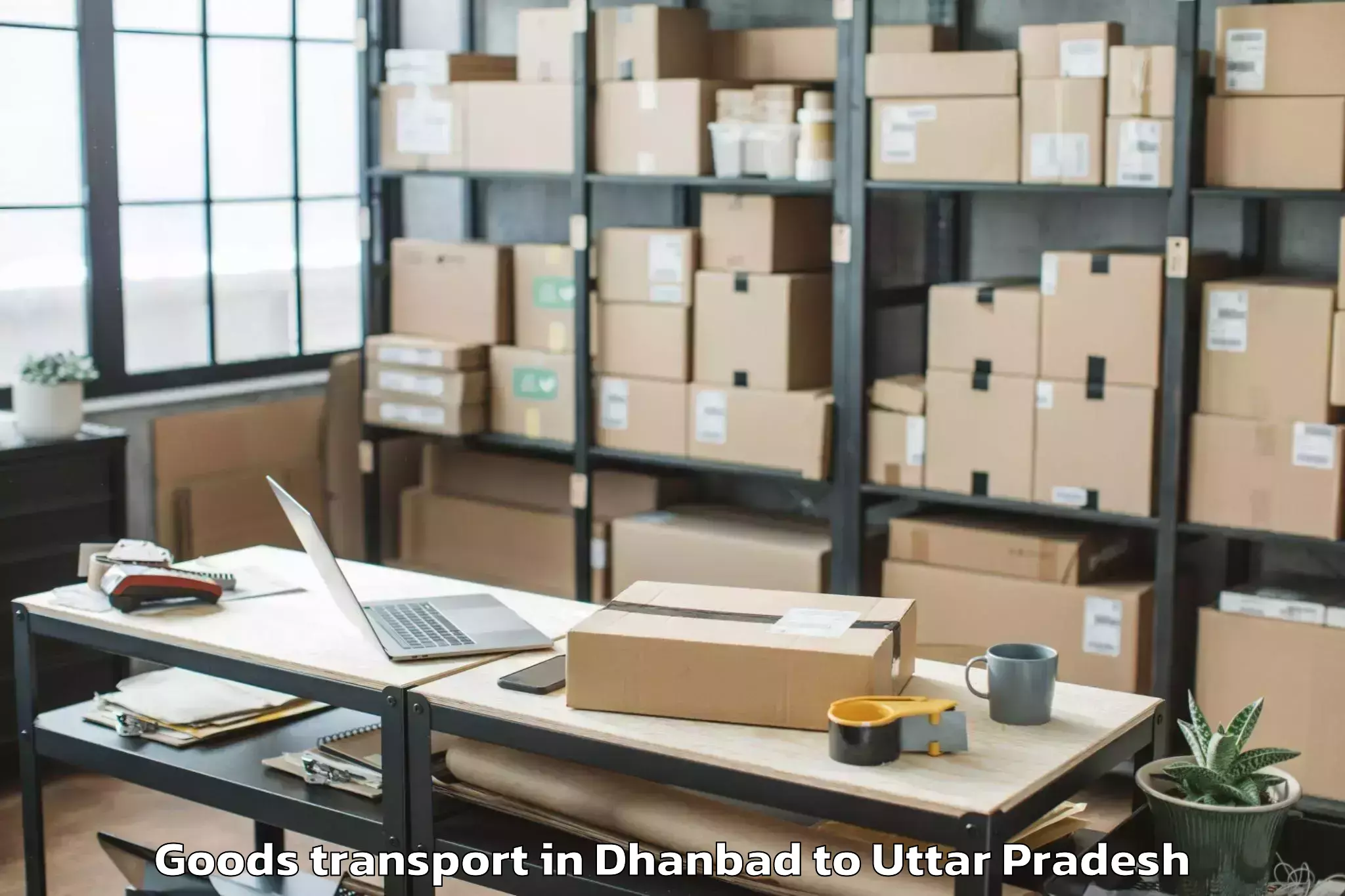 Book Dhanbad to Jhusi Goods Transport Online